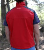 TORSO - Imagen 2
