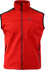 TORSO - Imagen 5